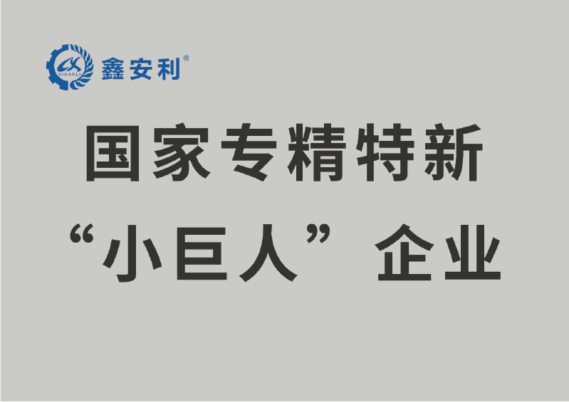 國家專精特新“小巨人”企業